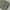 Haarklammer 'Emi' – dreamy garden Jona the Label