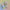 Mini-Puzzle Kalender Willa Wunst