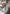 Kinder-Socken 'Mini' – blau No Bad Days Club