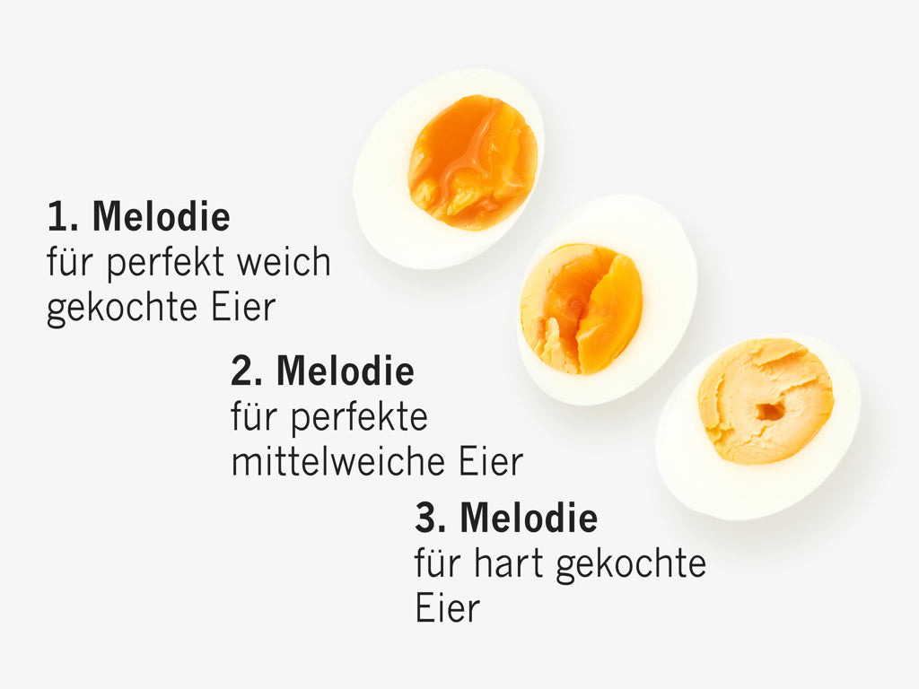 Mainzer Piep-Ei Brainstream