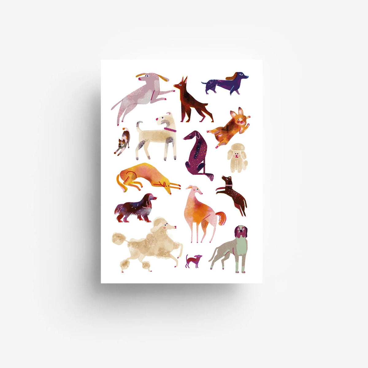 Postkarte 'Hunde' jungwiealt