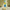 Chilisoße 'Habanero & Mustard' So Chili