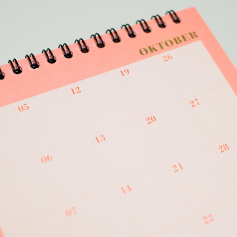 Kalender 'Der Gans ruhige Kalender' – 2026 Slinga