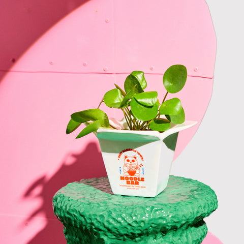 Vase 'Ramen' Fluid Market