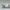 Cappuccino-Becher 'Lys' – Light Green indre Ceramics
