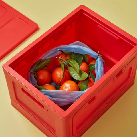 Aufbewahrungsbox 'rot' Studio About