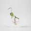 Vase 'Flower Bubble' – rosa Studio About