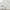 Steckdose 'Square 2' – Oak Green (ohne Kabel) Avolt