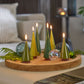 Kerze 'Candle Tree L' not the girl who misses much