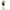 Self Watering Bottle 'klar' side by side